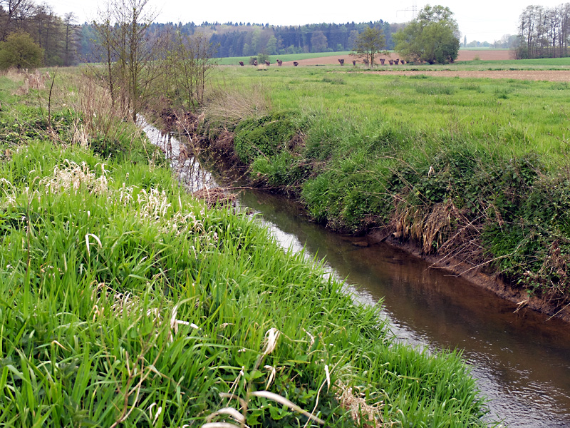 tb klein huchzen bachaufweitung 02