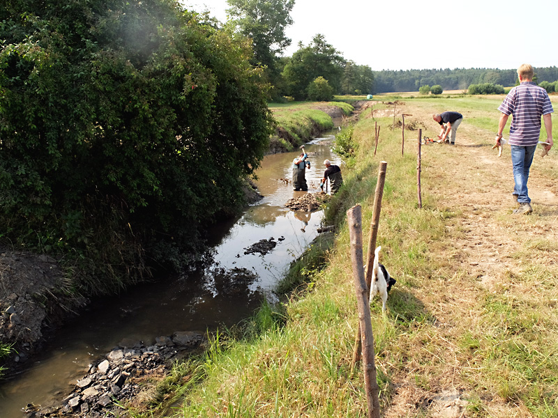 tb klein huchzen bachaufweitung 08