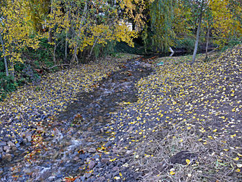 brandbach-maschweg-4