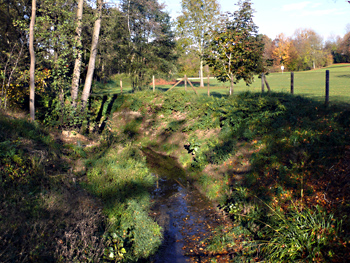 markbach freibad 2015 15