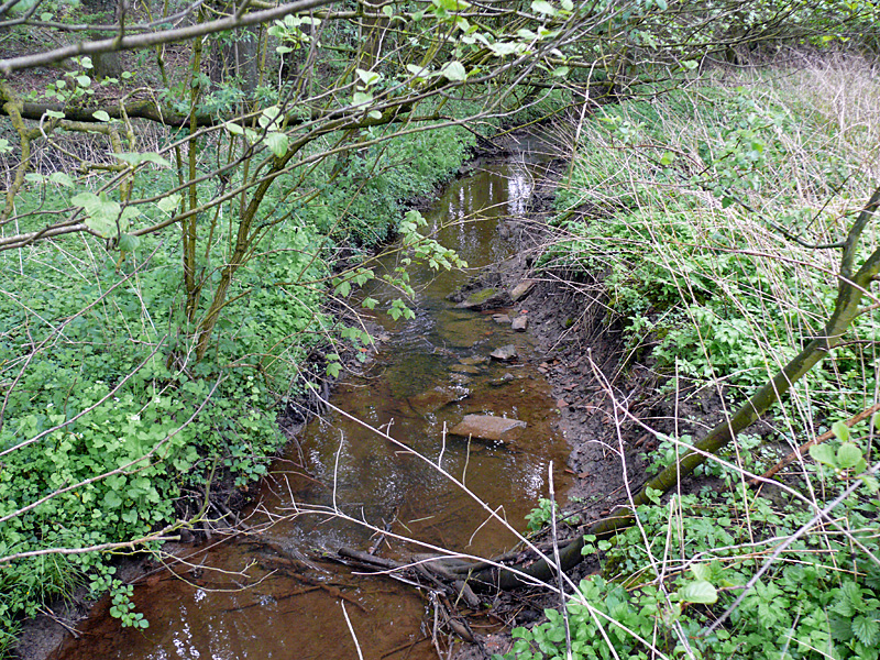 quernheimer bach suedl sunderhofstr bachaufweitung 02