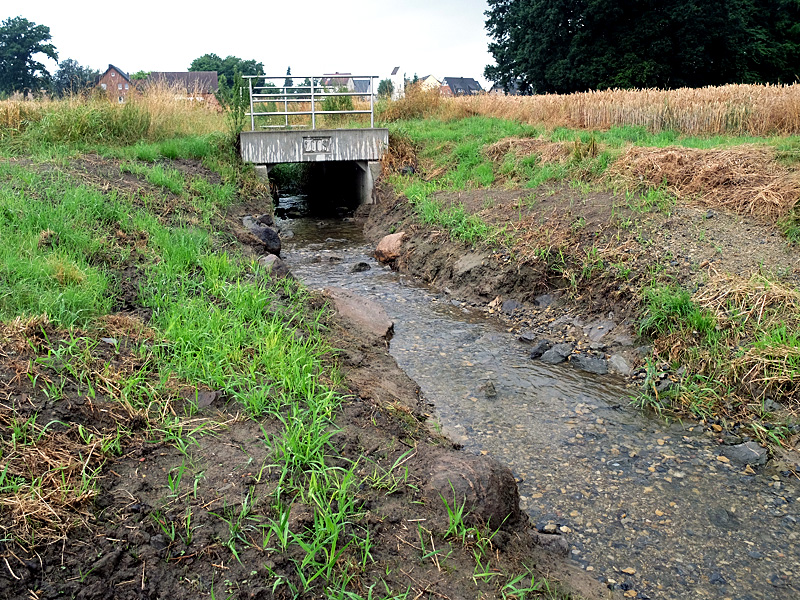 Ostscheider Bach Loehne Stadtteil Mennighueffen Holzbreder Weg 03