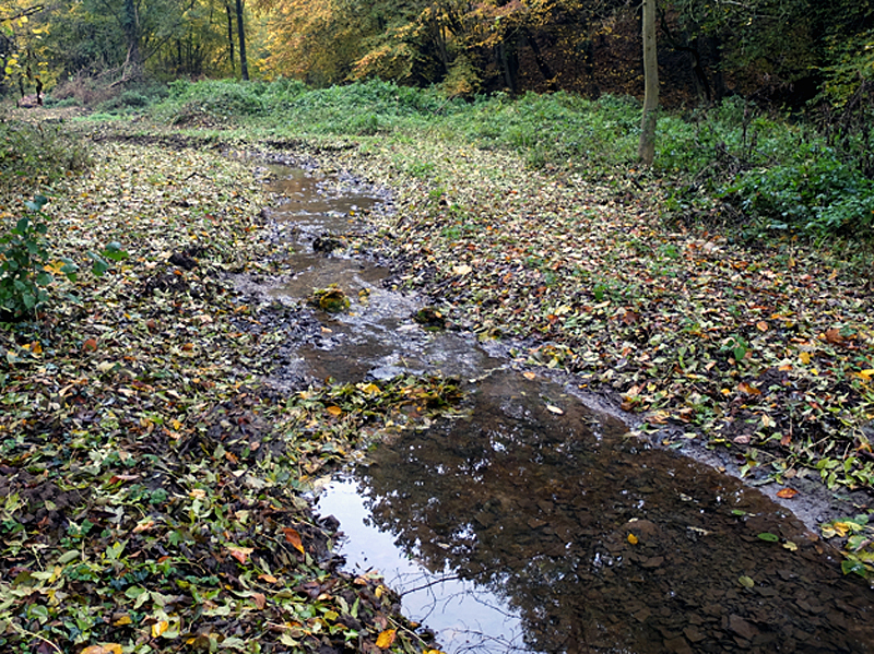 lö sudbachverlegung 2016 05