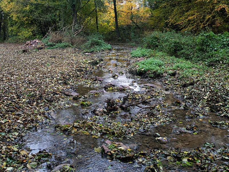 lö sudbachverlegung 2016 06