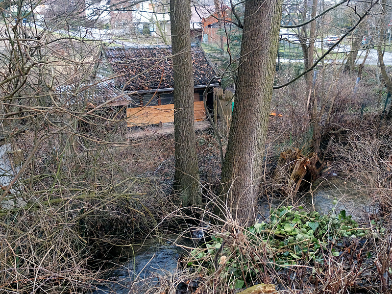 mittelbach grossensieker weg anlage eines auenbiotops 01