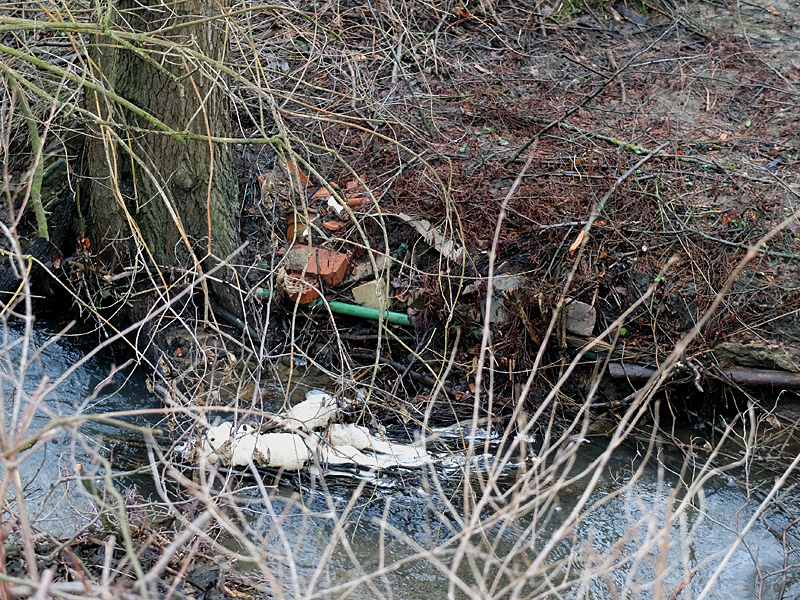 mittelbach grossensieker weg anlage eines auenbiotops 02