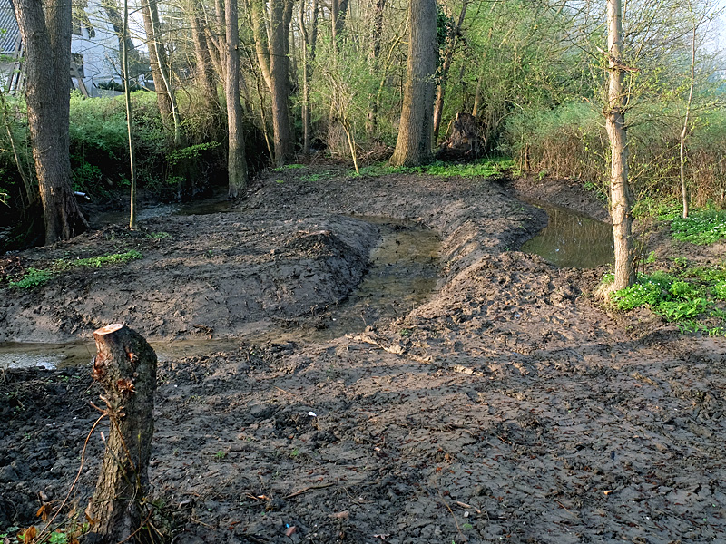 mittelbach grossensieker weg anlage eines auenbiotops 07