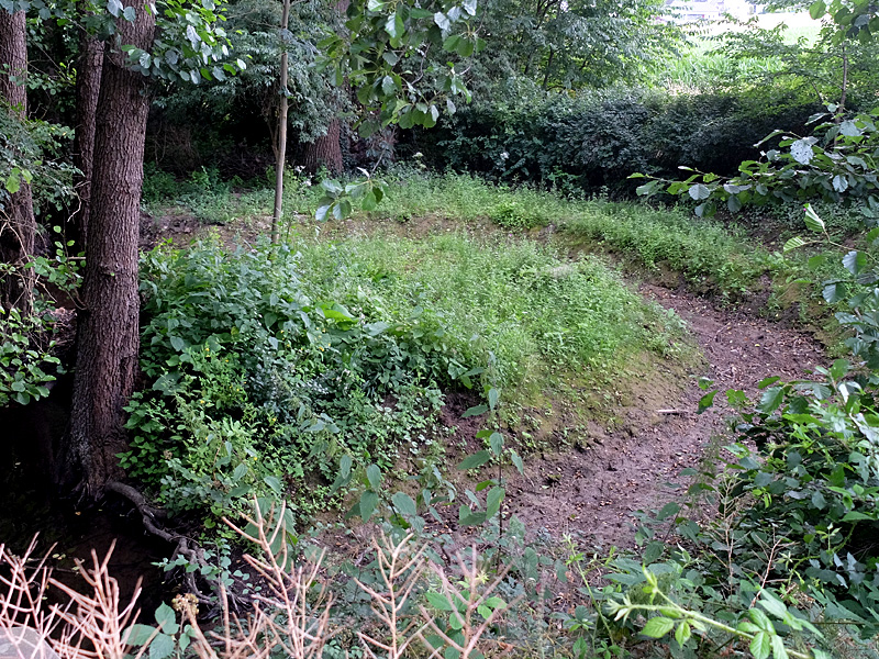 mittelbach grossensieker weg anlage eines auenbiotops 08