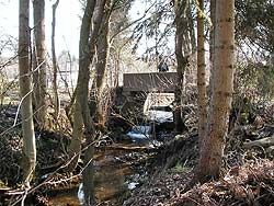 Sohlabsturz als Wanderhindernis