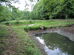 Ehemalige Fischteichanlage vor der Umgestaltung im Mai 2004