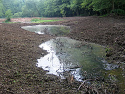 Fertigstellung Anfang Juni 2004