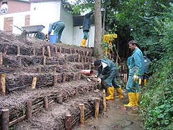 Ufersicherung mit Buschwerksfaschinen