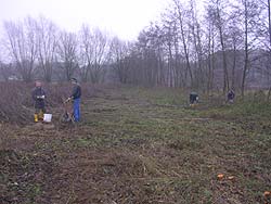 Materialgewinnung am Gewinghauser Bach 