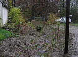 Der neu bepflanzte Butterbach im November 2004