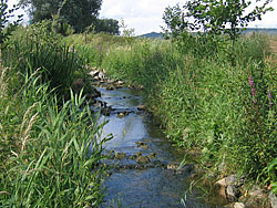 Entwicklung im Juli 2005