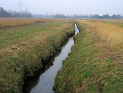 Zustand des Düsedieksbaches im Januar 2005