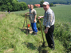 Eine tatkräftige Arbeitsgruppe sorgt für die lang ersehnte  Bepflanzung der Böschung inmitten landwirtschaftlicher Flächen