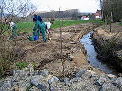Bepflanzung im April 2005 mit standortgerechten Gehölzen