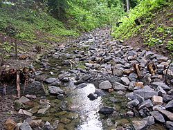 Zwischen den fixierten Totholzstämmen wurden Pfahlreihen in die Bachsohle getrieben und die entstandenen Kammern mit Wasserbausteinen sowie Feinmaterial gefüllt