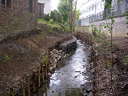 Hamkebach nach der Maßnahme