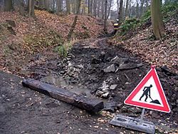 Der Abriss des massiv mit Beton eingefassten Fußweges übernahm eine Spezialfirma aus dem Garten- und Landschaftsbau Der Abriss des massiv mit Beton eingefassten Fußweges übernahm eine Spezialfirma aus dem Garten- und Landschaftsbau