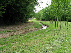 Der Bach wurde in die angrenzende Wiese verlegt