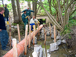 Dieses Team der Ifas sorgt dafür, dass die Gewässerorganismen auch in den oberen Bachabschnitt gelangen können