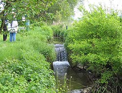 Kein Durchkommen: Wehranlage am Twiesbach