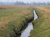 Zustand des Düsedieksbaches im Januar 2005