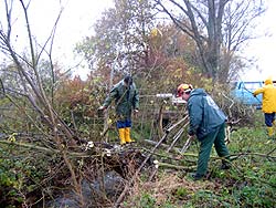 Erste Arbeitsphase im November