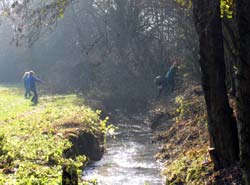 Zweite Arbeitsphase Ende November