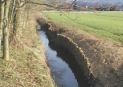 Der Twiesbach nach Durchführung der Maßnahme