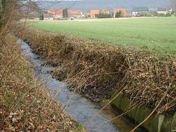 Der Twiesbach vor der Absicherung