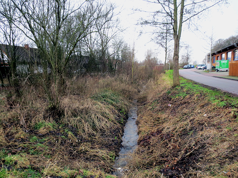 haselbeeke todtenhausen masurenweg bachverlegung in neu angelegte sekundaeraue 1