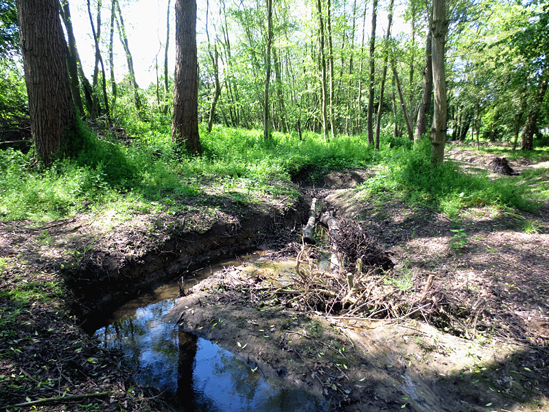 haselbeeke todtenhausen masurenweg bachverlegung in neu angelegte sekundaeraue 11