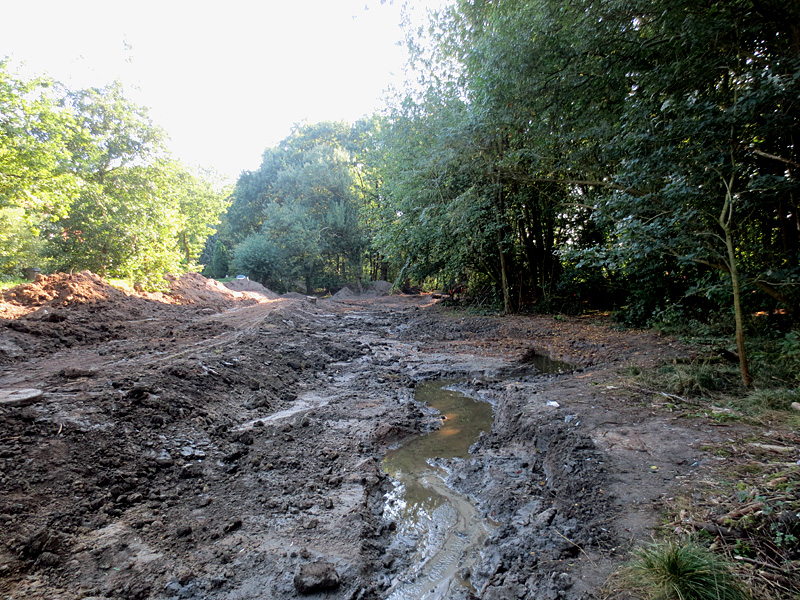 haselbeeke todtenhausen masurenweg bachverlegung in neu angelegte sekundaeraue 4