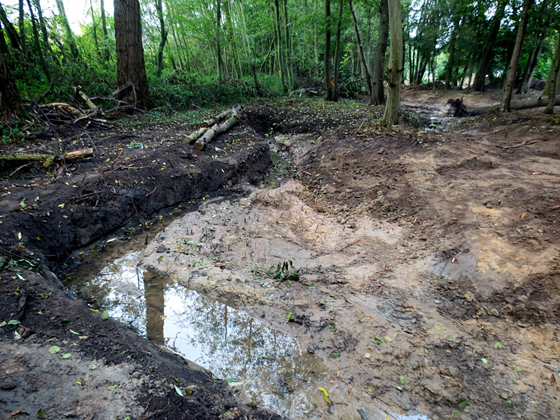 haselbeeke todtenhausen masurenweg bachverlegung in neu angelegte sekundaeraue 5