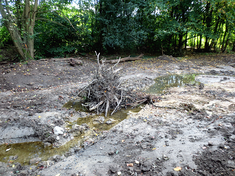 haselbeeke todtenhausen masurenweg bachverlegung in neu angelegte sekundaeraue 6