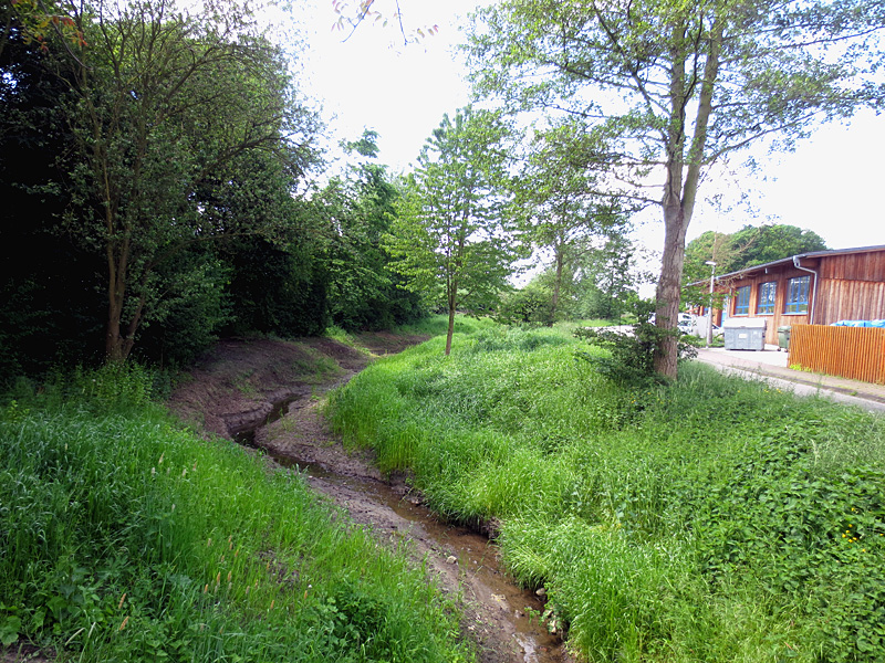 haselbeeke todtenhausen masurenweg bachverlegung in neu angelegte sekundaeraue 8