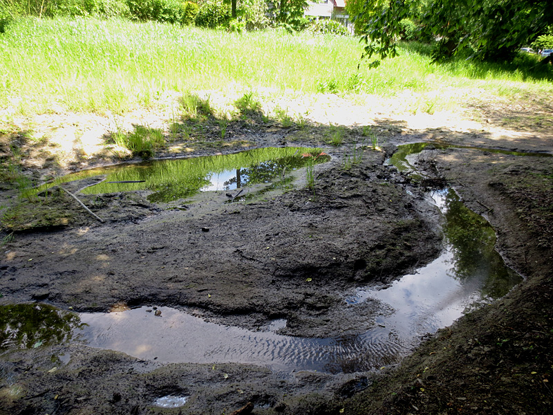 haselbeeke todtenhausen masurenweg bachverlegung in neu angelegte sekundaeraue 9