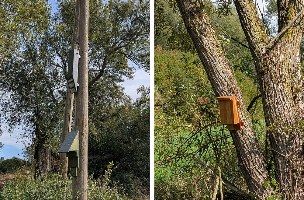 rottbach2025 abb10 11