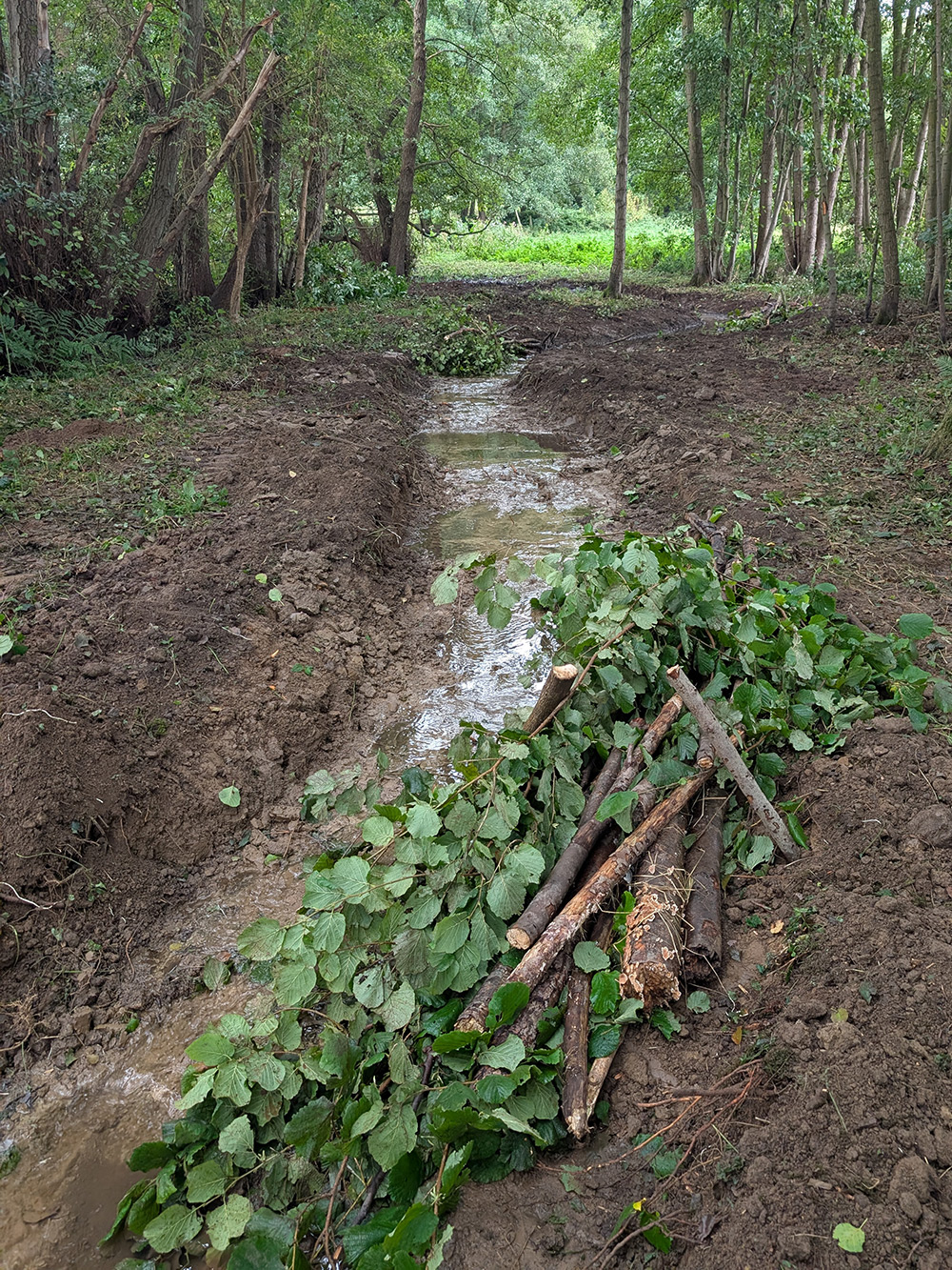 baehrenbusch2025 abb3