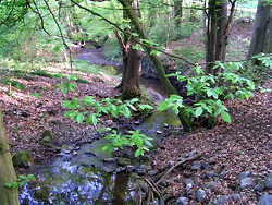 Osterbach - Grenzbach zwischen den Kreisen Herford und Minden-Lübbecke