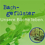 Ausstellung Bachgeflüster