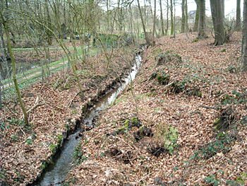 grosse-aue-aueweg-2