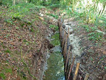 grosse-aue-aueweg-4