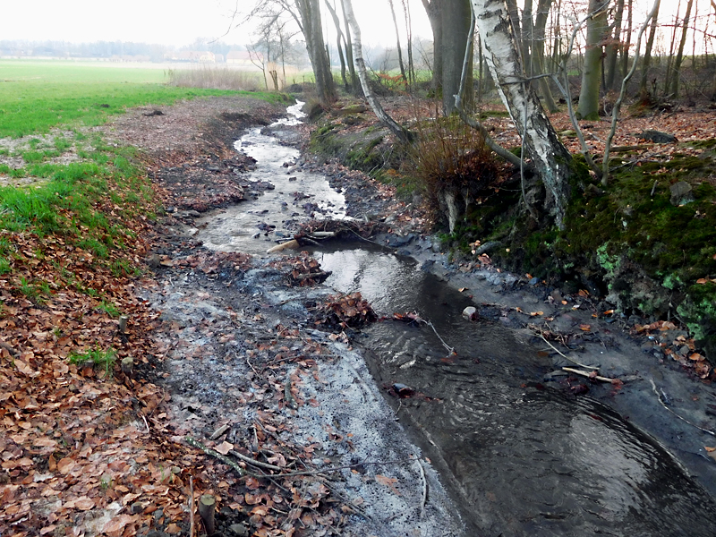 darmuehlenbach oestl sueddorf anhebung und stabilisierung der bachsohle 01