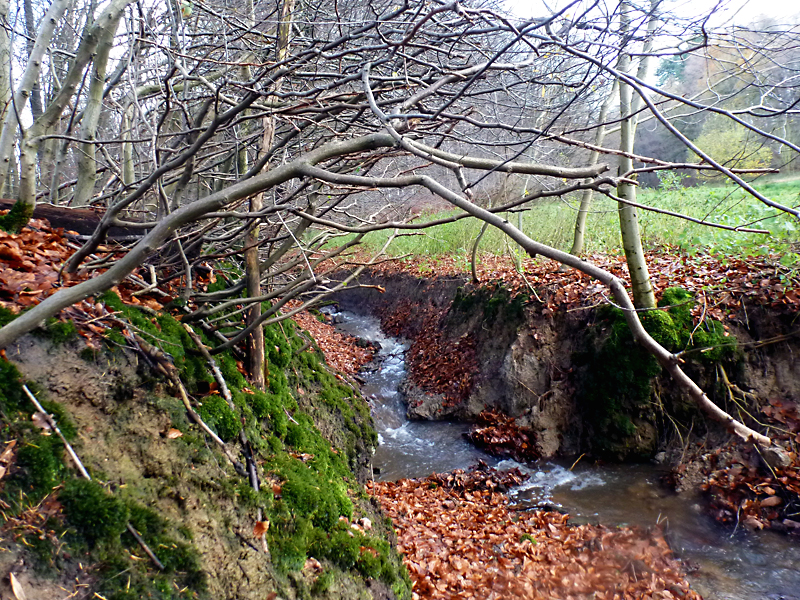 darmuehlenbach oestl sueddorf anhebung und stabilisierung der bachsohle 02