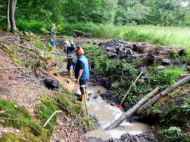 darmuehlenbach oestl sueddorf anhebung und stabilisierung der bachsohle 06