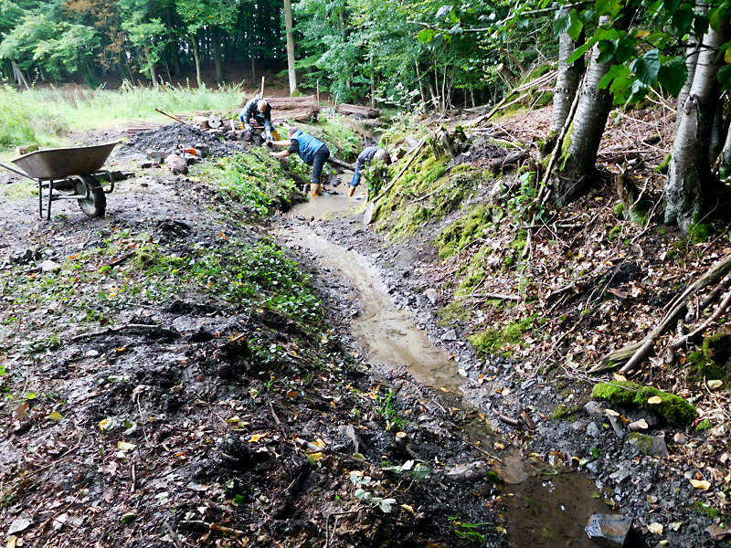 darmuehlenbach oestl sueddorf anhebung und stabilisierung der bachsohle 07